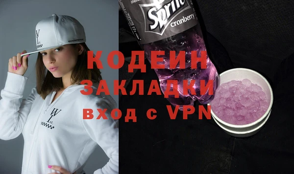 индика Верея